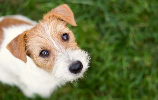 His looking up online