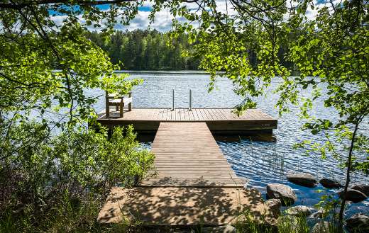 Lake surround green nature