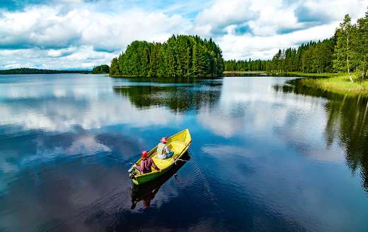 People fishing online