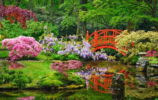 Small bridge Japanese garden Clingendael The Hague