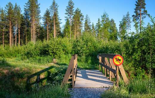 Small wooden bridge horses not allowed