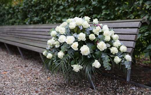 White rose on bench puzzle