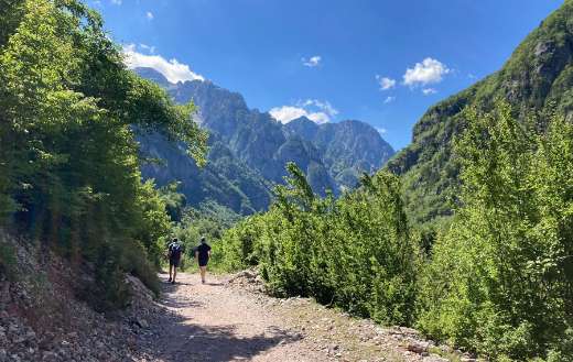 Two-people-walking online