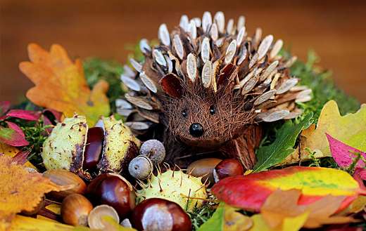 Autumn decoration Hedgehog