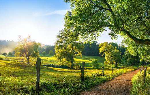 Rural landscape with path