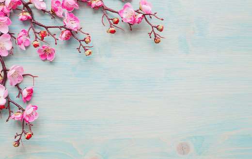 Spring background painted blue board