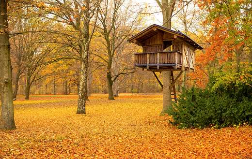 Construction of wooden house in the woods