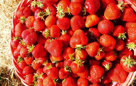 Cute red strawberries puzzle