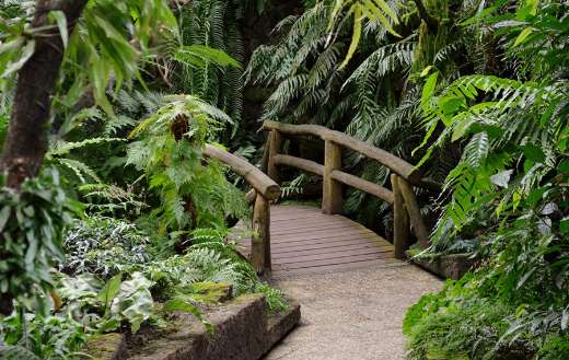 Boardwalk wooden bridge online