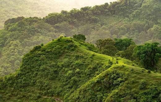 Green rural nature puzzle