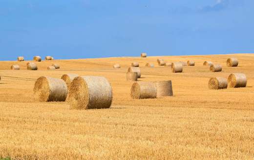 Round bale lot online