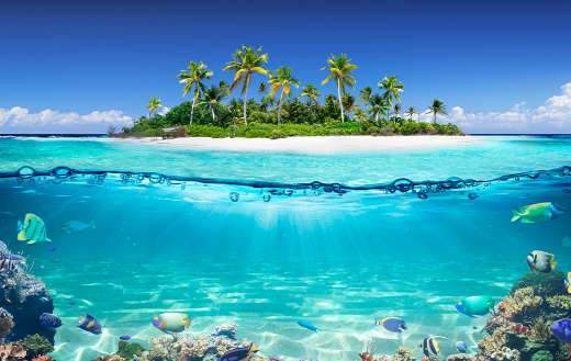 Split view of tropical island and coral reef