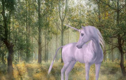 Unicorn forest fairytale puzzle