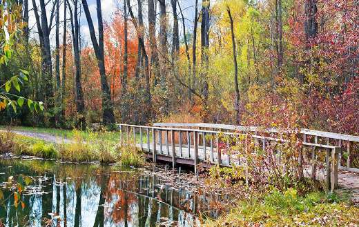 Autumn season wooden bridge