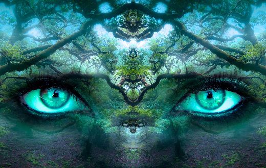 Mystery blue forest online