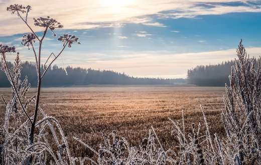 Scenic and clear landscape with sunrise frosty morning