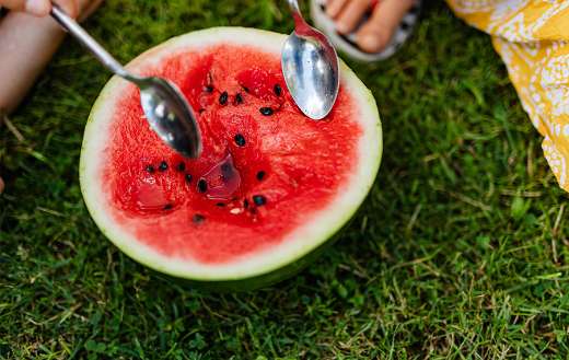 Watermelon sliced online