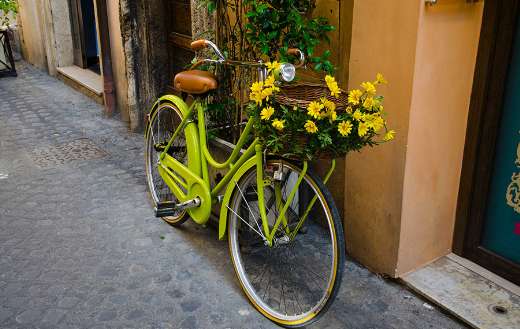 Green cruiser beach bike