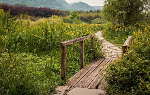 Guizhou China scenery wooden bridge