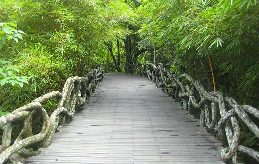 Yanoda China park online