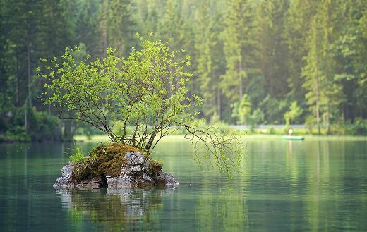 Flow water nature forest
