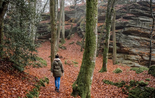 Hiking nature online