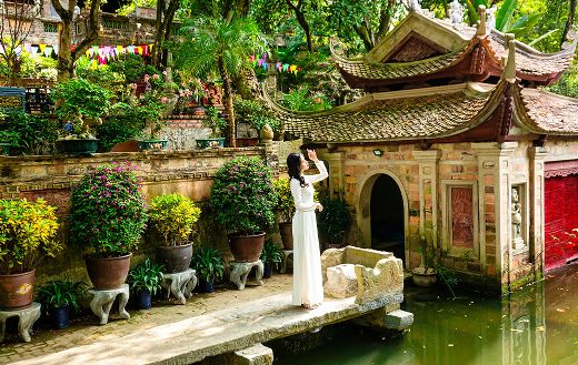 Ao Dai garden puzzle