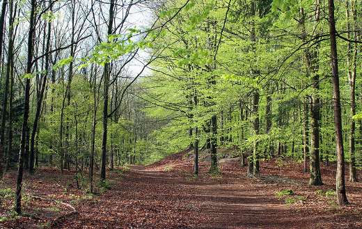 Spring season landscape nature
