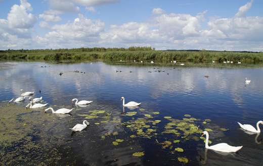 Reserve moorland puzzle
