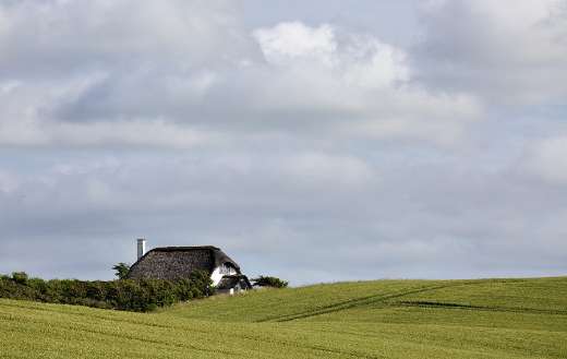 House meadow fields landscape