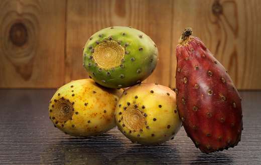 Prickly pear fruit cactus