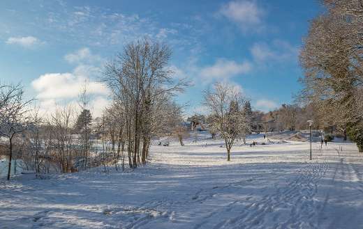 Landscape park winter time