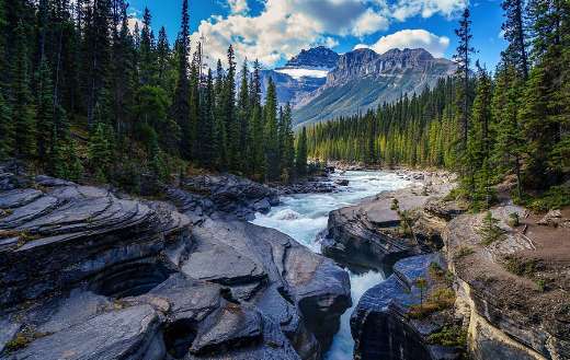 River rocks trees nature