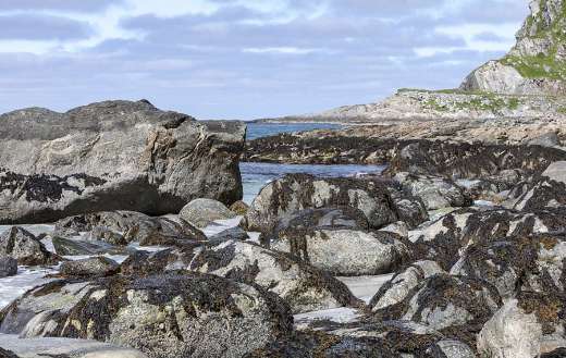 Sleet stone landscape