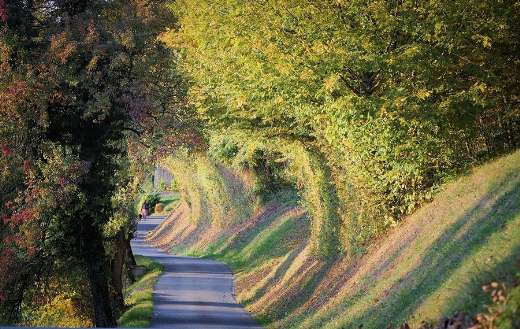 Landscape small pathways