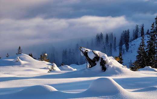 Winter dream all white