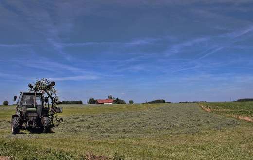 Landscape meadow image