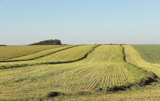 Meadow image agriculture landscape