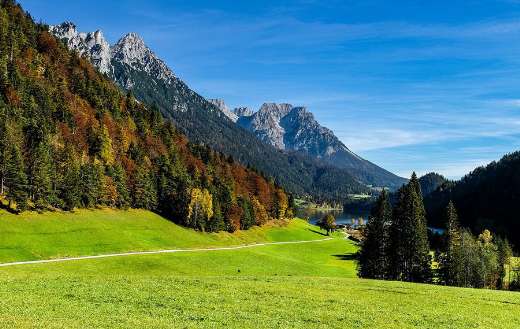 Mountains forest landscape
