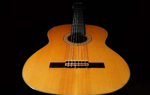 Music intrument guitar