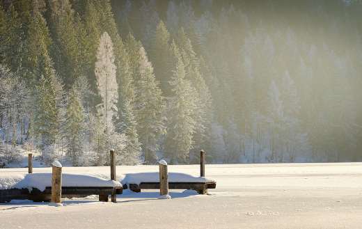 Wooden bridge winter season looks