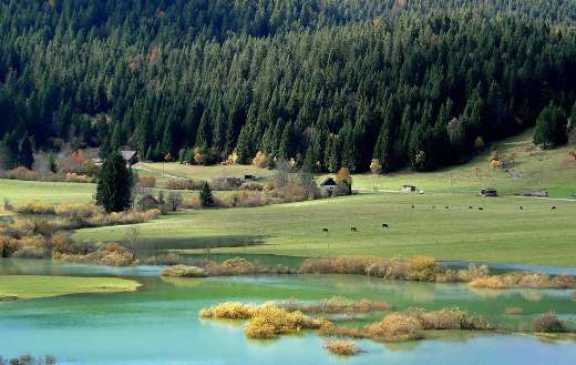 Beautiful nature landscape and lake