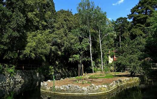Green nature peaceful water