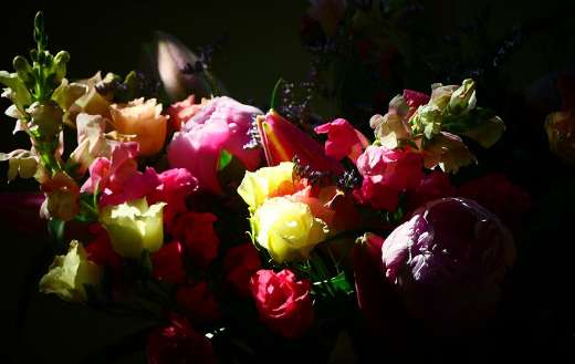 Colorful mix bouquet flowers