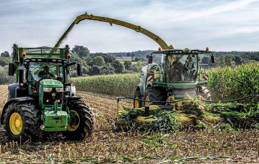 Combine harvester cornfield