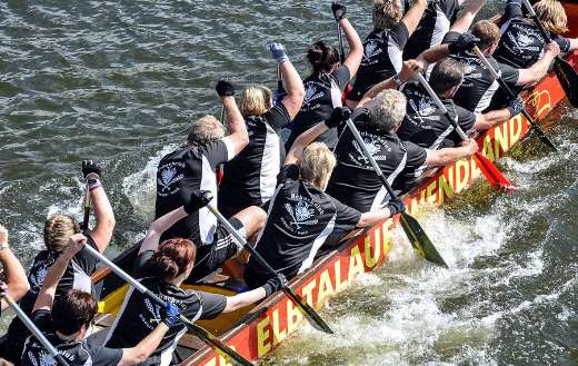 Dragon boat racing rowing