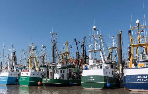 Fisherman port ships boat