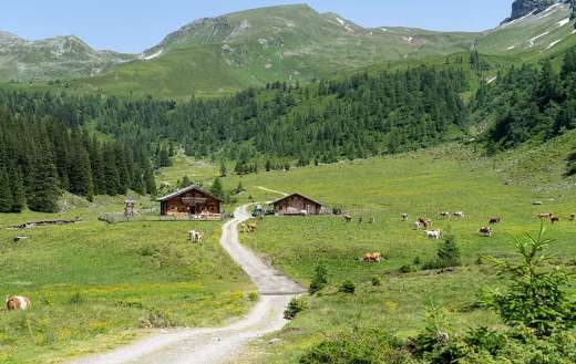 Rustic barn style landscape
