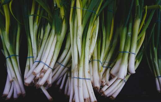 Spring onion roots vegetables
