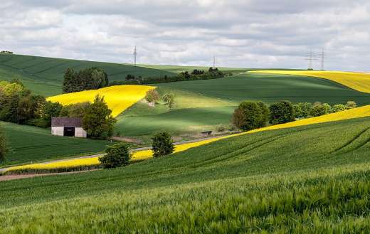 Agriculture landscape spring time field
